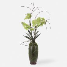 Uttermost 60199 - Valdive Orchid