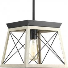 Progress P500041-143 - Briarwood Collection One-Light Graphite Coastal Mini-Pendant Light