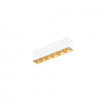 WAC US R1GDL06-N935-GL - Multi Stealth Downlight Trimless 6 Cell