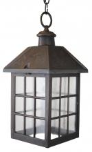 Melissa Lighting 2051 - Avanti 2000 Series Hanging Model 2051 Medium Outdoor Wall Lantern