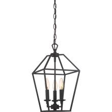 Quoizel AVY5203PN - Aviary Pendant