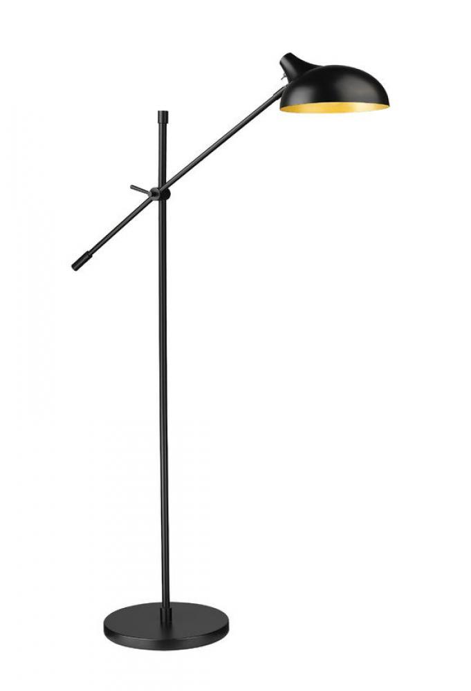 1 Light Floor Lamp