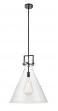  411-1SL-BK-G411-18CL - Newton Cone - 1 Light - 18 inch - Matte Black - Pendant