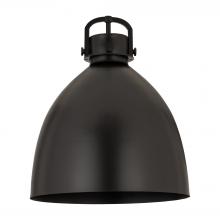 Innovations Lighting M412-16BK - Newton Sphere 16 inch Shade