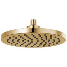 Brizo 81398-PG - Universal Showering 10'' Linear Round Single-Function Raincan Shower Head - 1.75 GPM