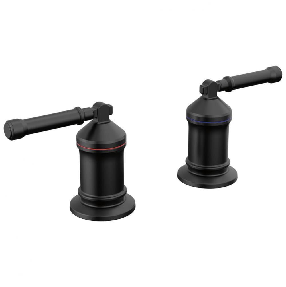 Broderick™ 2 Handle Roman Tub handle Kit-Lever