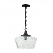 Capital 347611CK - 1-Light Pendant