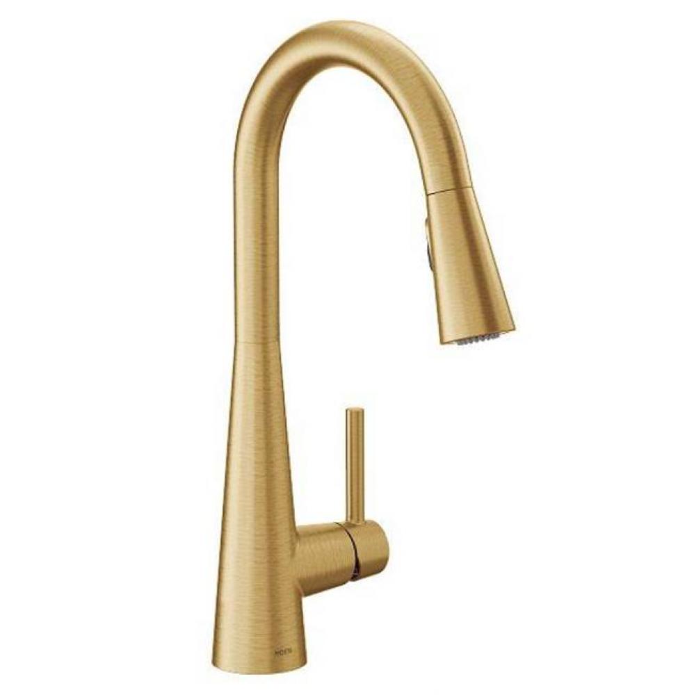 Sleek One-Handle High Arc Pulldown Kitchen Faucet Featuring Power Boost, Brushed Gold