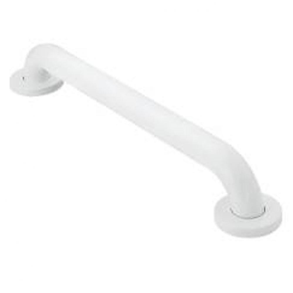 Glacier 16&apos;&apos; concealed screw grab bar