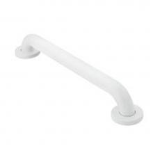 Moen R8730W - Glacier 30'' Concealed Screw Grab Bar