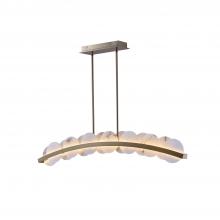 Kalco 518461WB - Meridian 47 In LED Island Lt