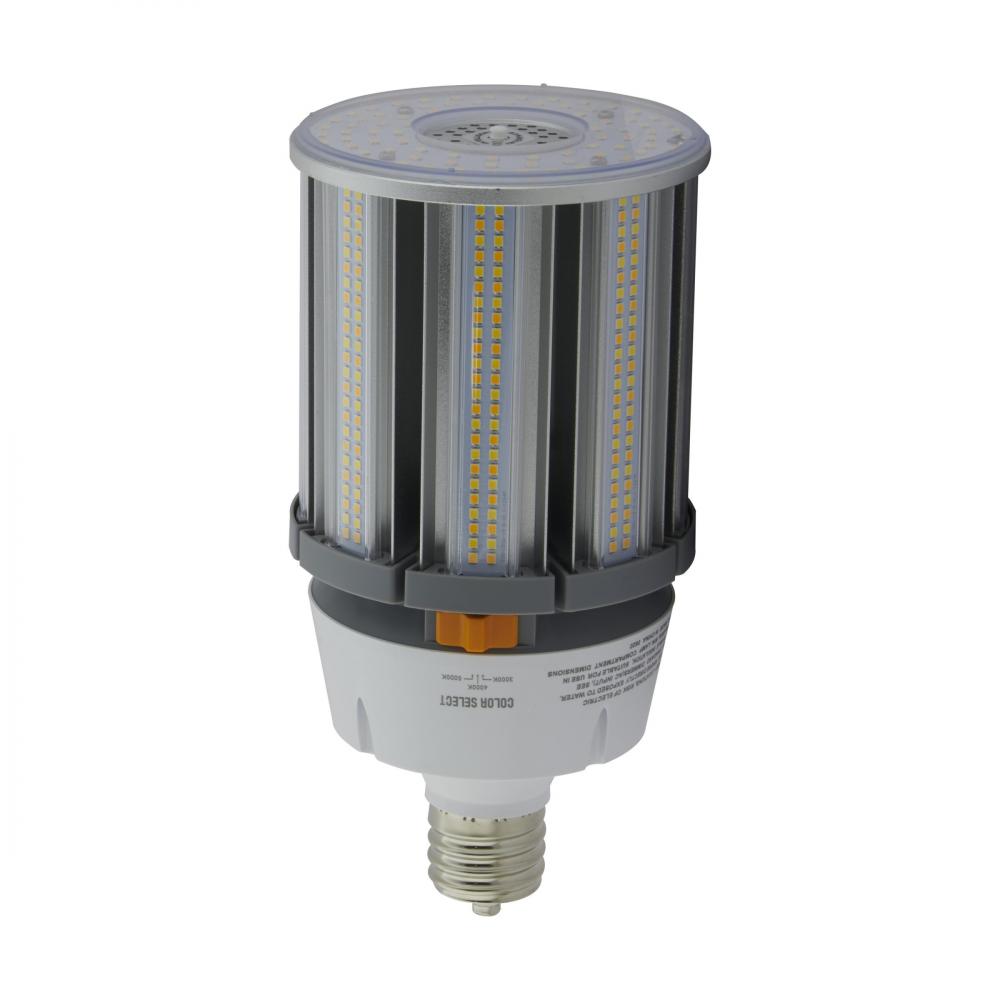 100W/LED/HID/CCT/EX39/100-277V