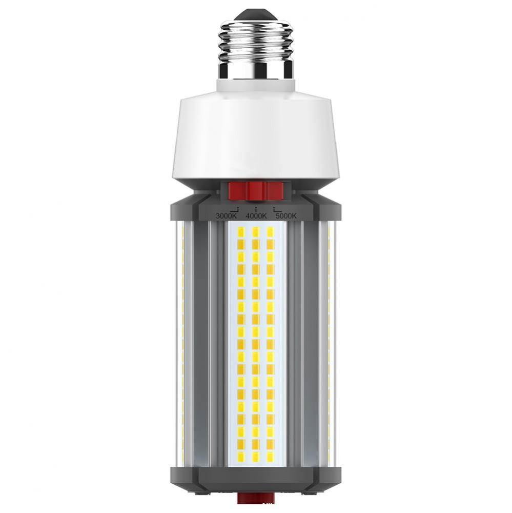 22W/Led/Cct/100-277V/E26