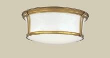 Hudson Valley 6515-AGB - 3 LIGHT FLUSH MOUNT