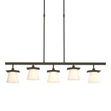 Hubbardton Forge 136605-SKT-LONG-07-GG0242 - Wren 5 Light Pendant