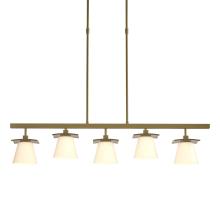 Hubbardton Forge 136605-SKT-LONG-86-GG0242 - Wren 5 Light Pendant