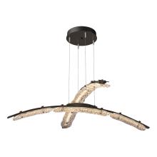 Hubbardton Forge 137587-LED-STND-14-ZM0749 - Glissade Double Large LED Pendant