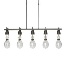 Hubbardton Forge 137810-SKT-SHRT-07-ZM0572 - Apothecary Pendant