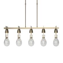 Hubbardton Forge 137810-SKT-SHRT-84-ZM0572 - Apothecary Pendant