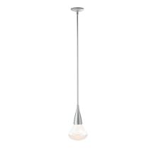 Hubbardton Forge 188902-SKT-MULT-82-ZM0676 - Fritz Large Pendant