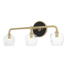 Hubbardton Forge 201342-SKT-86-10-ZM0709 - Ume 3-Light Curved Arm Bath Sconce