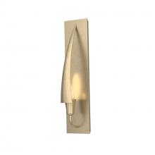  207420-SKT-84 - Cirque Sconce