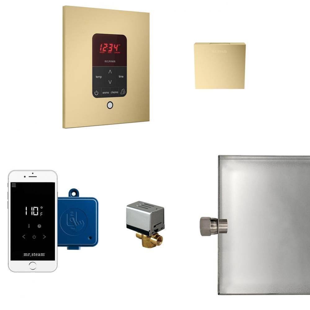 Butler Steam Shower Control Package with iTempoPlus Control and Aroma Designer SteamHead in Square