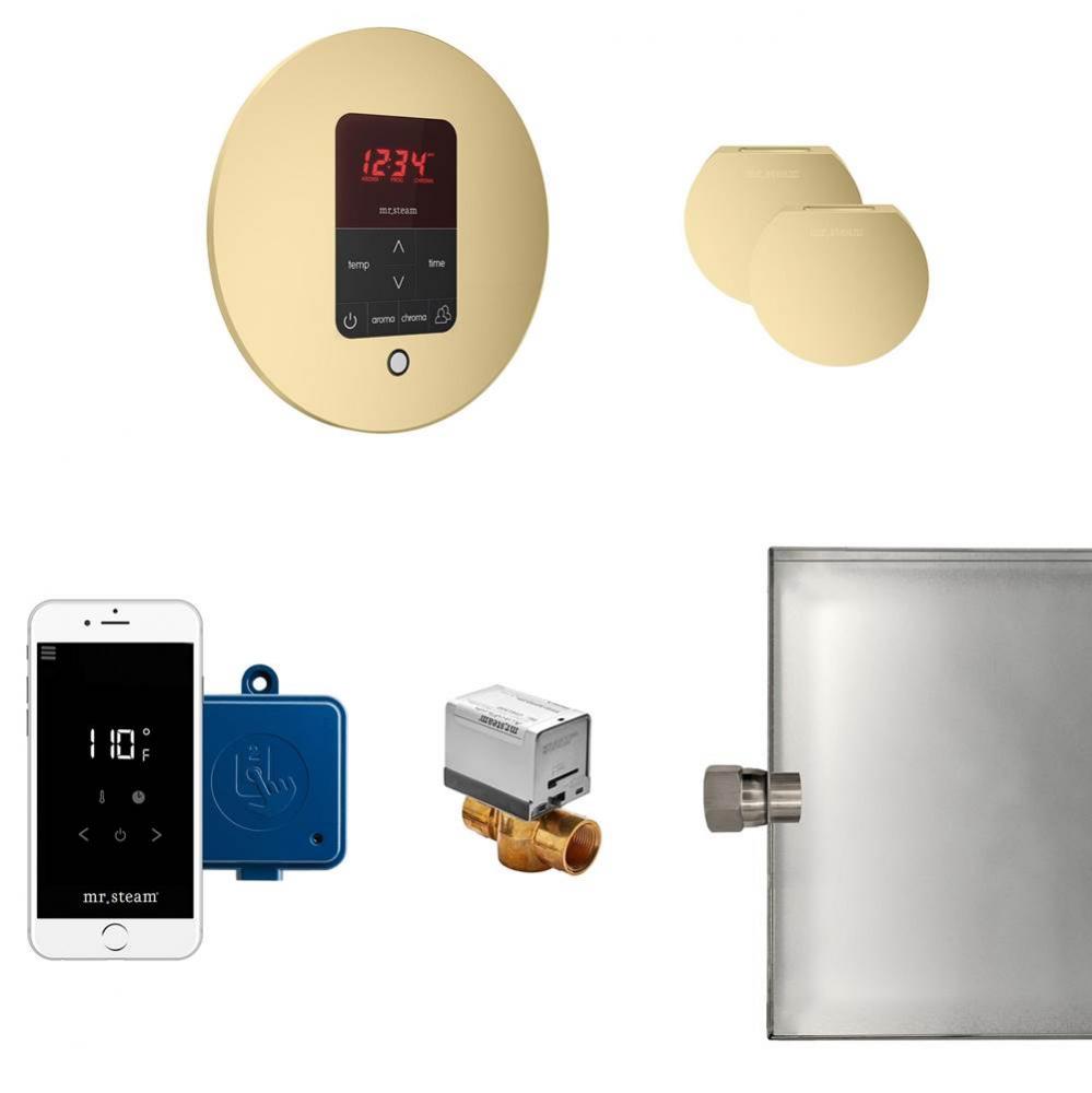 Butler Max Steam Shower Control Package with iTempoPlus Control and Aroma Designer SteamHead in Ro