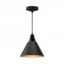 ALORA  PD584510MB - Archer 10-in Matte Black 1 Light Pendant