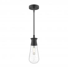 ALORA  EP464001BKCB - Marcel 4-in Clear Bubble Glass/Textured Black 1 Light Exterior Pendant