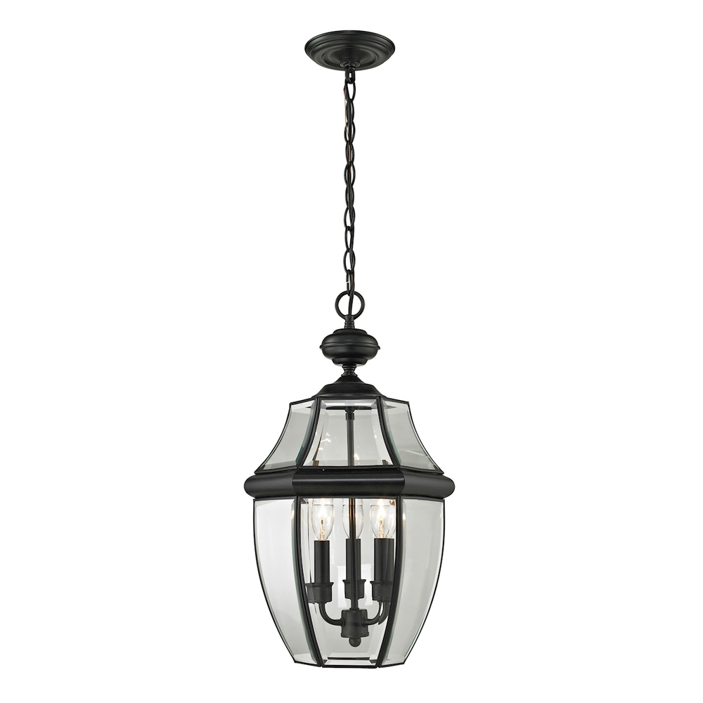 Thomas - Ashford 12&#39;&#39; Wide 3-Light Outdoor Pendant - Black