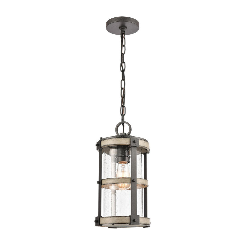 Annenberg 8&#39;&#39; Wide 1-Light Outdoor Pendant - Anvil Iron